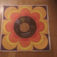 Standing in the road / Celestial plain