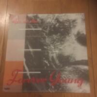 Forever young / Welcome to the sun