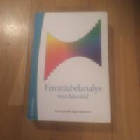 Envariabelanalys med datorst&ouml;d