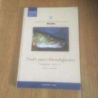 Dokumentation av de svenska nationalparkerna. fiskbest&aring;ndet - d&aring; och nu