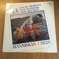 M&auml;nniskan i stan