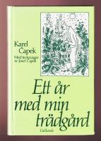 Ett &aring;r med min tr&auml;dg&aring;rd