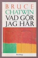 Vad g&ouml;r jag h&auml;r