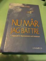 Nu m&aring;r jag b&auml;ttre : v&auml;gar ut ur depressioner och livskriser
