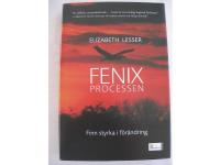 Fenixprocessen. Finn styrka i f&ouml;r&auml;ndring