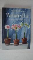 Amaryllis : &auml;lskad vinterblomma!