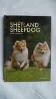Shetland sheepdog