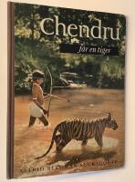 Chendru f&aring;r en Tiger