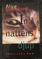 In i nattens djup