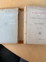 Sk&aring;nes flora innefattande de fanerogama och ormbunkarnas v&auml;xterna