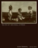 Vad &auml;r det som skall utf&ouml;ras [Signerad]