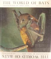 The World of Bats