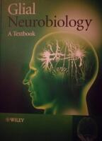 Glial Neurobiology
