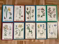 Nordens flora 1-10