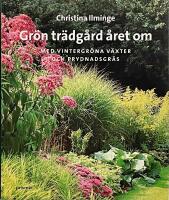 Grön trädgård året om : med vintergröna växter och prydnadsgräs