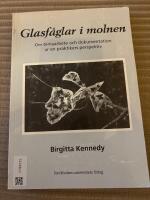 Glasf&aring;glar i molnen - Om temaarbete och dokumentation ur en praktikers perspektiv