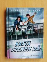 Kasta stenen d&aring;! (R4B3)