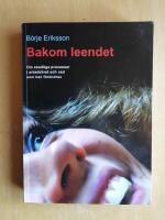 Bakom leendet : om skadliga processer i arbetslivet och vad som kan f&ouml;r&auml;ndras (R4H2)