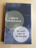 En h&auml;st g&aring;r in p&aring; en bar (R4B5)