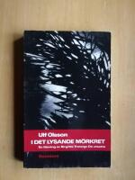 I det lysande m&ouml;rkret : en l&auml;sning av Birgitta Trotzigs De utsatta (KP7)