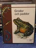 Grodor och paddor
