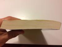 Pojken som sov med sn&ouml; i sin s&auml;ng : den tredje ber&auml;ttelsen om Joel