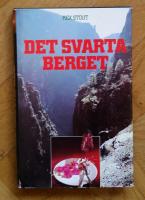 Det svarta berget