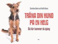Tr&auml;na din hund p&aring; en helg 
