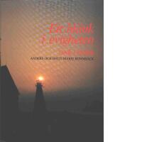 Ett bl&auml;nk i evigheten . &Ouml;ar i norr