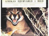 Afrikas djurv&auml;rld i bild