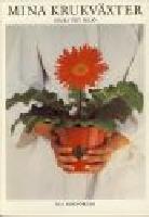 Mina krukv&auml;xter - Kruka v&auml;xt milj&ouml;