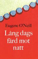 L&aring;ng dags f&auml;rd mot natt