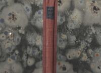 Biskop ovan polcirkeln