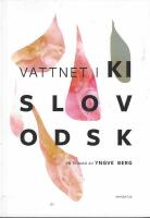 Vattnet i Kislovodsk : en roman