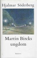 Martin Bircks ungdom : ber&auml;ttelse