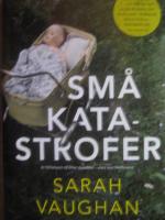 Sm&aring; katastrofer