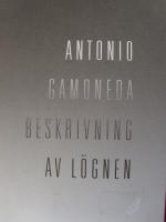 Beskrivning av l&ouml;gnen