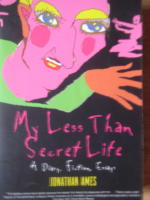 My Less Than Secret Life. A Diary, Fiction Essays