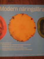 Modern n&auml;ringsl&auml;ra