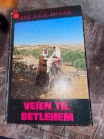 Veien til Betlehem En moderne pilegrimsferd