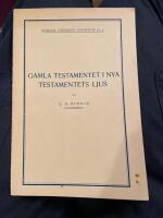 Gamla Testamentet i Nya Testamentets ljus