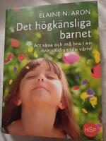 Det h&ouml;gk&auml;nsliga barnet : att v&auml;xa och m&aring; bra i en &ouml;verv&auml;ldigande v&auml;rld