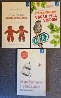 BOKPAKET: Mindfulness i vardagen; V&auml;gar till visdom; Konsten att vara sn&auml;ll