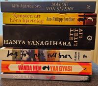BOKPAKET. 6 x romaner