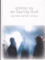 Glimtar av en osynlig Gud : unga m&ouml;ten med Gud i vardagen