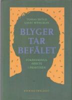 Blyger tar bef&auml;let - F&ouml;r&auml;ndringsarbete i praktiken
