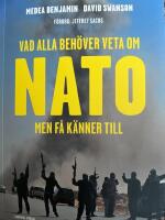 Vad alla beh&ouml;ver veta om Nato