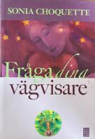 Fr&aring;ga dina v&auml;gvisare