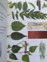 Nordeuropas tr&auml;d : en best&auml;mningsbok