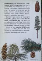 Nordeuropas tr&auml;d : en best&auml;mningsbok